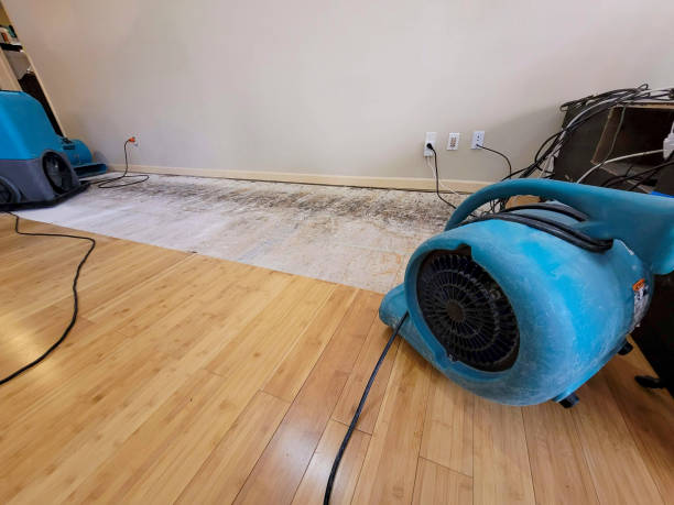 Professional Flood Damage Cleanup technician working in Ridley Park, PA